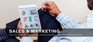 Sales and Marketing Business Consutant Tampa